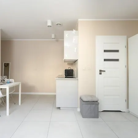 Apartment Comfortable Studio For 2 In Near The Market And Park By Renters Poznan